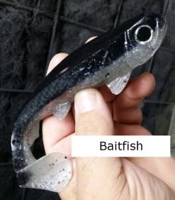 3:16 Lure Company 3:16 Weedless Rising Son Baits