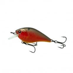 6th Sense Crush 50X Baits