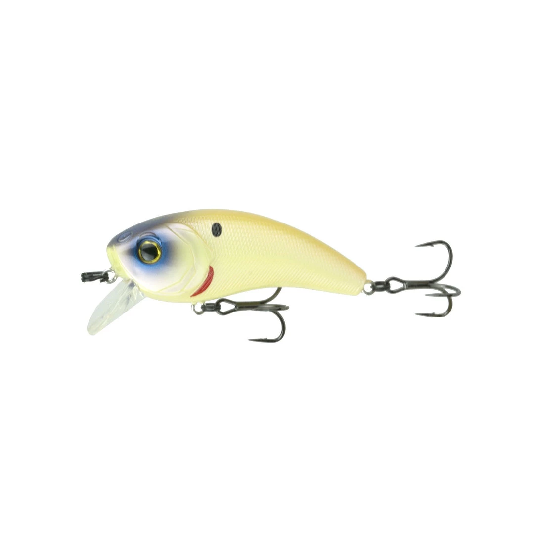 6th Sense Movement Baits 1 6th Sense Movement Baits