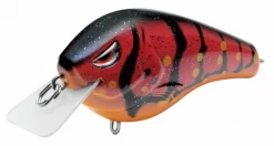 Baits Spro Fat Papa SB 55 7 Baits Spro Fat Papa SB 55