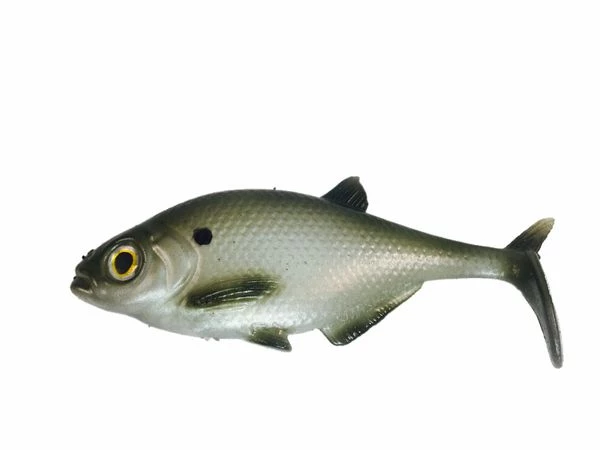 Baits Smash-Tech 7" Line-Thru Gizzard Shad 3 Baits Smash-Tech 7" Line-Thru Gizzard Shad