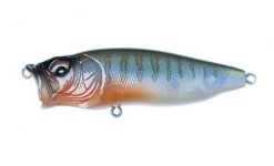 Fishin' World Megabass Popmax 10 Fishin' World Megabass Popmax