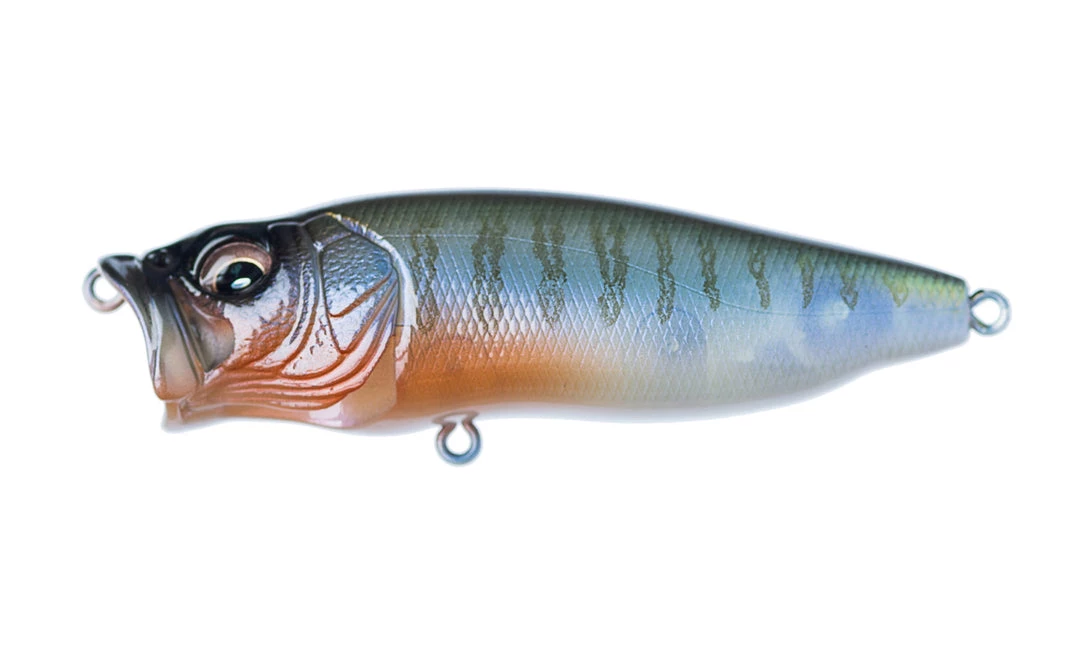 Fishin' World Megabass Popmax 5 Fishin' World Megabass Popmax