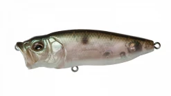 Fishin' World Megabass Popmax 8 Fishin' World Megabass Popmax