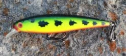 Fishin' World Baits Peacock Minnow 6