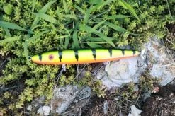 Fishin' World Baits Peacock Top Secret 7" 9 Fishin' World Baits Peacock Top Secret 7