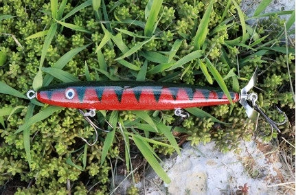 Fishin' World Baits Peacock Top Secret 7" 2 Fishin' World Baits Peacock Top Secret 7"