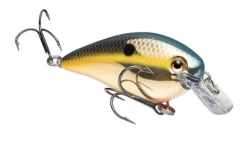 Strike King KVD 1.5 Squarebill