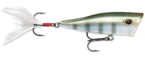 Storm Arashi Cover Pop 2 Storm Arashi Cover Pop