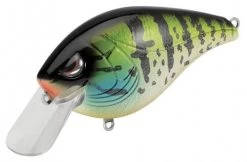 Baits Spro Hunter Crank 65 SB
