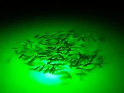 Green Monster Fishing Submersible Light Accessories