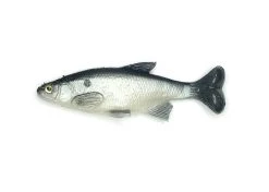 Baits Smash-Tech 6" Weedless Shiner 6 Baits Smash-Tech 6