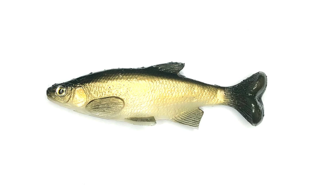 Baits Smash-Tech 6" Weedless Shiner 2 Baits Smash-Tech 6" Weedless Shiner