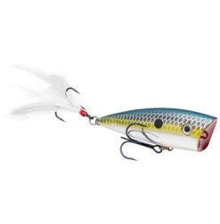 Strike King KVD Splash Jr.