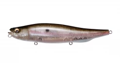 Fishin' World Megabass Megadog Baits