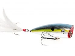 Strike King KVD Splash Baits